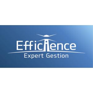 Logo-Efficience-Expert-Gestion_blanc-sur-fond-bleu